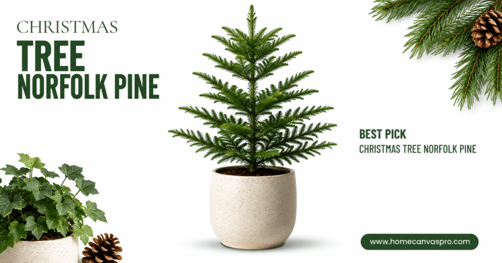 Christmas Tree Norfolk Pine: Care Guide for Beginners